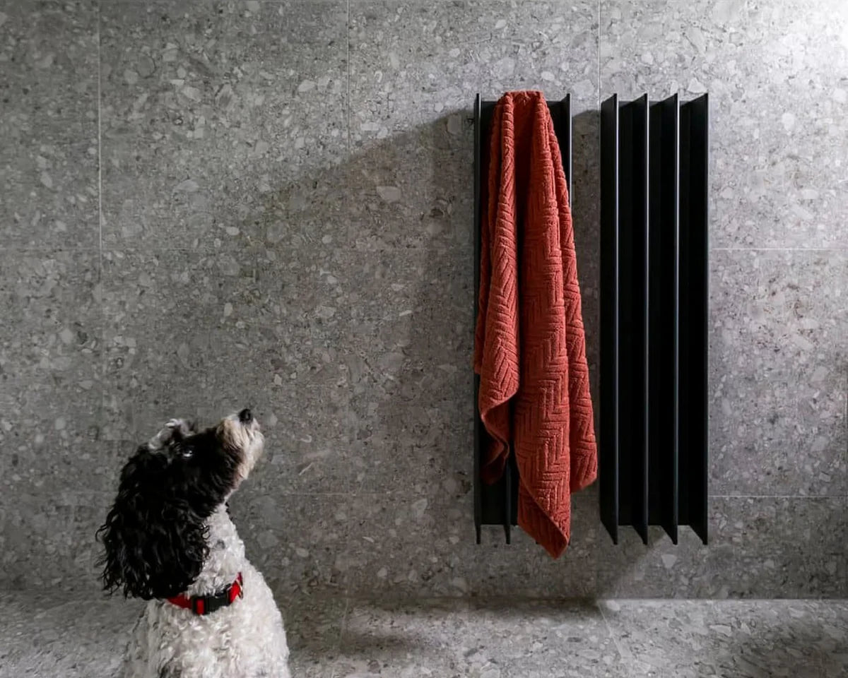 A black vertical heated towel rail mounted on a grey wall, with a red towel hanging on it, and a white dog with a red collar looking at it.